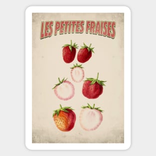 Old fruit poster - Strawberries - Vintage - retro Sticker